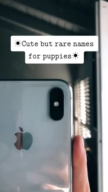 pt.idk! 💗 tag someone who should get a puppy! 🐶