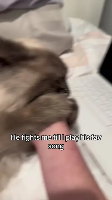He gets so emotional with the song like he understands it 😭❤️ mylovemineallmine mitski viral fyp…