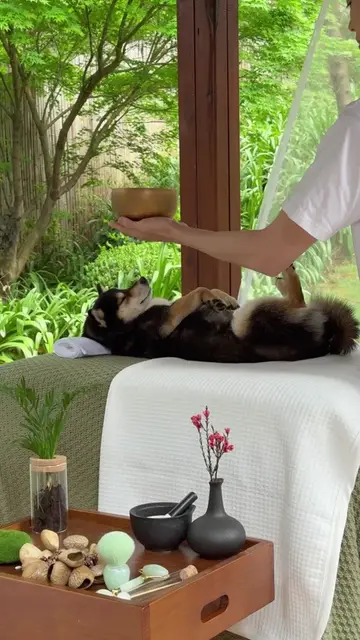 Happy Weekend! Relax with Manyu & Xiaobai in this 9-Min Outdoor SPA