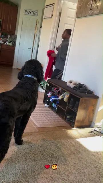Little kids left in tears when they finally met their petdogs🥹❤ puppies puppiesoftiktok cute…