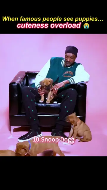 Celebrities + Puppies = Instant Cuteness Overload! Snoop Dogg