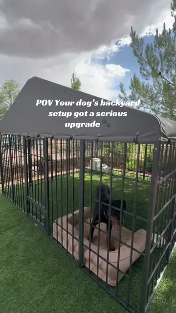 This kennel changed everything for us! The absolute best investment if you need a separate area…