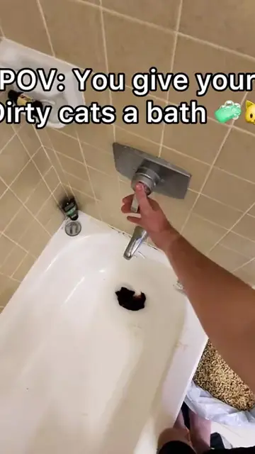The new kitty was definitely starting to stink so it was time to give em the dirty dooper 🧼🐱