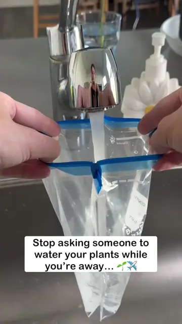 Stop begging your neighbors to water your plants while you're away on vacation! 🪴✈️ This clever…