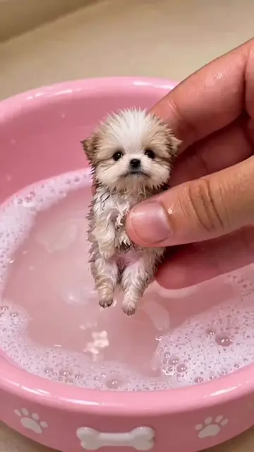 Would you like one? . . . ​